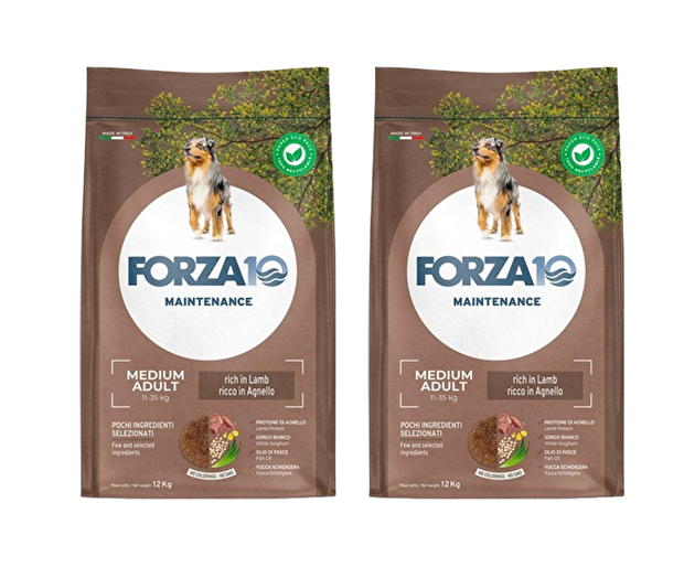 Forza 10 Medium Mantenimento all'Agnello e Riso Cibo Secco per Cani Adulti di Taglia Media