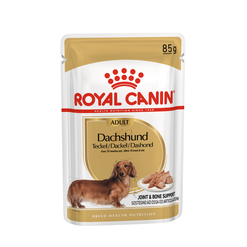 Royal Canin Dachshund Bassotto 85 Grammi Cibo Umido per Cani Adulti - 12 bustine