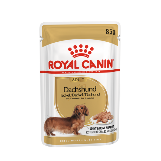 Royal Canin Dachshund Bassotto 85 Grammi Cibo Umido per Cani Adulti - 12 bustine