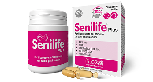 Innovet Senilife Plus Compresse Per il Benessere Del Cervello Dei Cani e Gatti Anziani