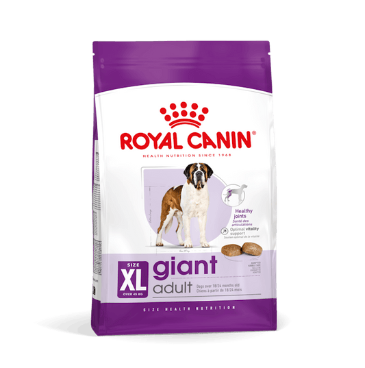 Royal Canin Giant Adult Cibo Secco per Cani Adulti di Taglia Gigante