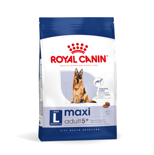 Royal Canin Maxi Adult 5 + Cibo Secco per Cani Adulti di Taglia Grande