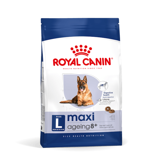 Royal Canin Maxi Ageing 8 + Cibo Secco per Cani Anziani di Taglia Grande