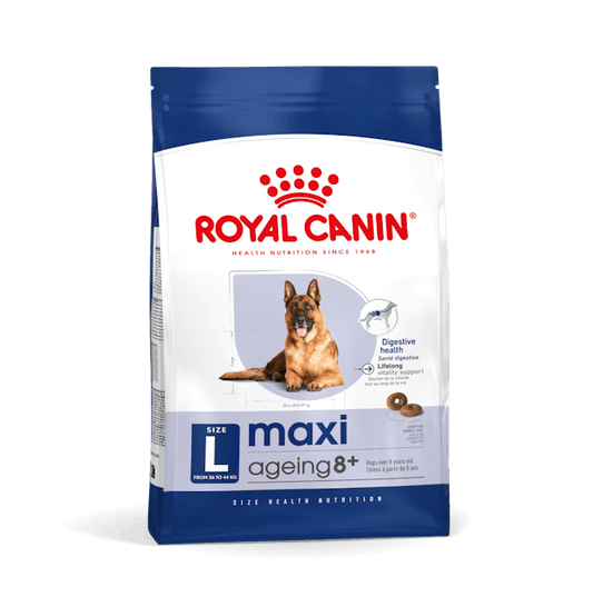 Royal Canin Maxi Ageing 8 + Cibo Secco per Cani Anziani di Taglia Grande