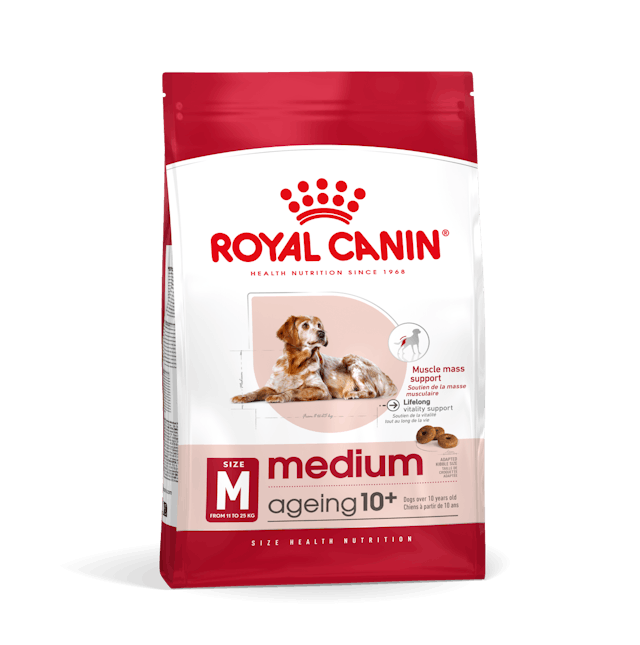 Royal Canin Medium Ageing 10+ Cibo Secco per Cani Anziani di Taglia Media