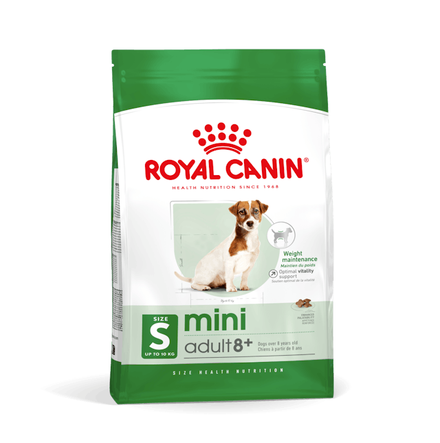 Royal Canin Mini Adult 8+ Cibo Secco per Cani Adulti di Taglia Piccola